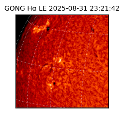 gong - 2025-08-31T23:21:42
