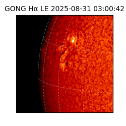 gong - 2025-08-31T03:00:42