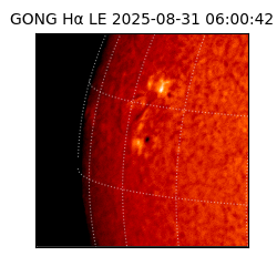 gong - 2025-08-31T06:00:42
