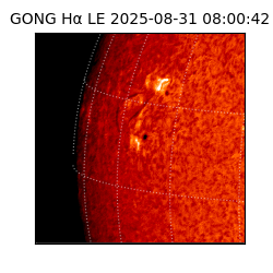 gong - 2025-08-31T08:00:42