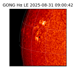 gong - 2025-08-31T09:00:42