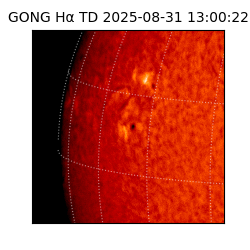 gong - 2025-08-31T13:00:22