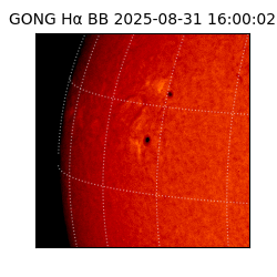 gong - 2025-08-31T16:00:02