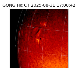 gong - 2025-08-31T17:00:42