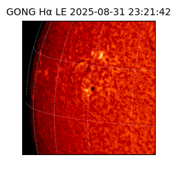 gong - 2025-08-31T23:21:42