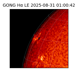 gong - 2025-08-31T01:00:42