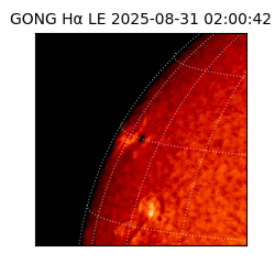 gong - 2025-08-31T02:00:42