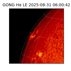 gong - 2025-08-31T06:00:42