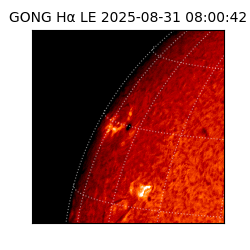 gong - 2025-08-31T08:00:42
