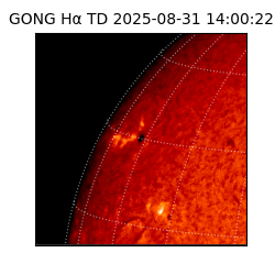gong - 2025-08-31T14:00:22