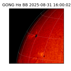 gong - 2025-08-31T16:00:02