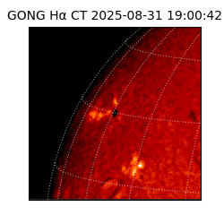 gong - 2025-08-31T19:00:42