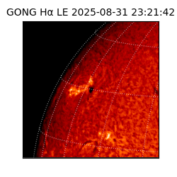 gong - 2025-08-31T23:21:42