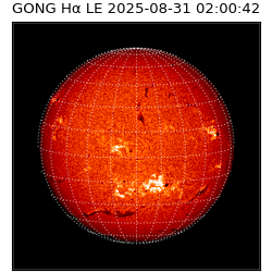 gong - 2025-08-31T02:00:42