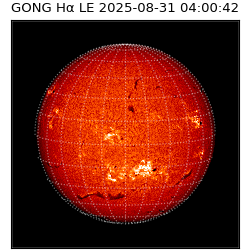 gong - 2025-08-31T04:00:42