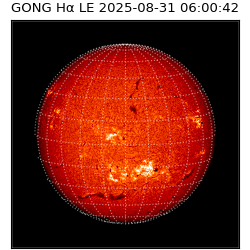 gong - 2025-08-31T06:00:42