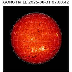 gong - 2025-08-31T07:00:42