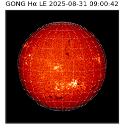 gong - 2025-08-31T09:00:42