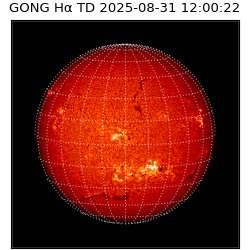 gong - 2025-08-31T12:00:22