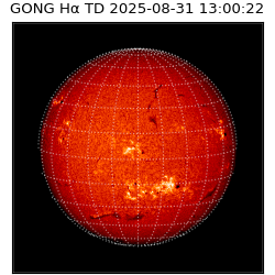 gong - 2025-08-31T13:00:22