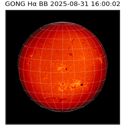 gong - 2025-08-31T16:00:02
