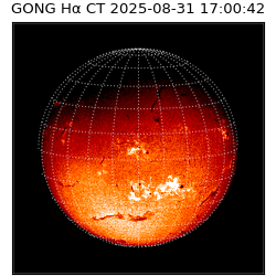 gong - 2025-08-31T17:00:42