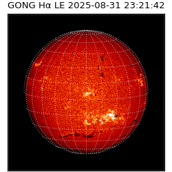 gong - 2025-08-31T23:21:42