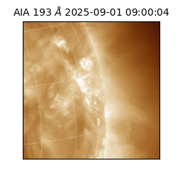 saia - 2025-09-01T09:00:04.843000