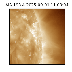 saia - 2025-09-01T11:00:04.842000