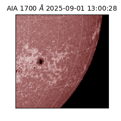 saia - 2025-09-01T13:00:28.719000