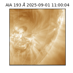 saia - 2025-09-01T11:00:04.842000