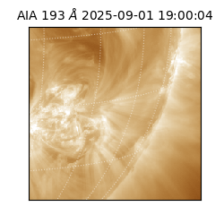 saia - 2025-09-01T19:00:04.843000