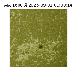 saia - 2025-09-01T01:00:14.126000