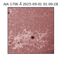 saia - 2025-09-01T01:00:28.718000