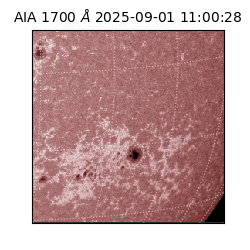 saia - 2025-09-01T11:00:28.721000