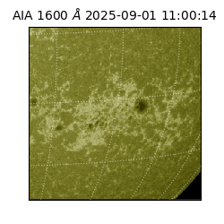 saia - 2025-09-01T11:00:14.125000