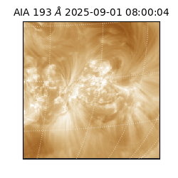 saia - 2025-09-01T08:00:04.843000