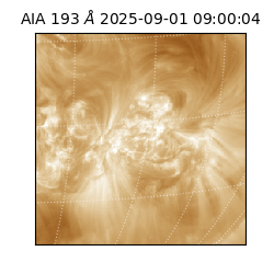 saia - 2025-09-01T09:00:04.843000