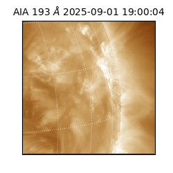 saia - 2025-09-01T19:00:04.843000