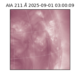 saia - 2025-09-01T03:00:09.630000