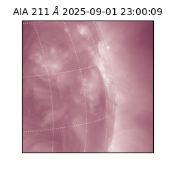 saia - 2025-09-01T23:00:09.626000