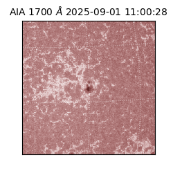 saia - 2025-09-01T11:00:28.721000