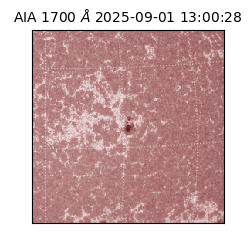 saia - 2025-09-01T13:00:28.719000