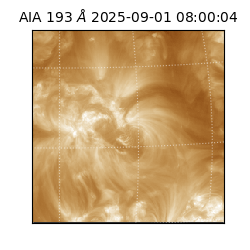 saia - 2025-09-01T08:00:04.843000