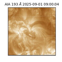 saia - 2025-09-01T09:00:04.843000