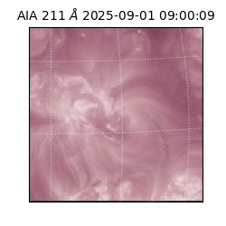 saia - 2025-09-01T09:00:09.640000