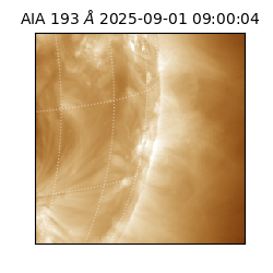 saia - 2025-09-01T09:00:04.843000