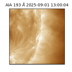 saia - 2025-09-01T13:00:04.843000