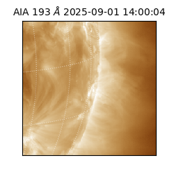 saia - 2025-09-01T14:00:04.843000