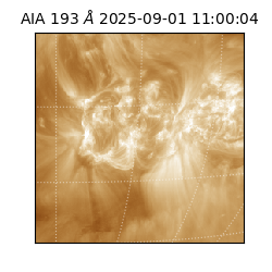 saia - 2025-09-01T11:00:04.842000